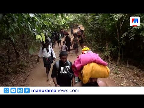 സ്വാമിമാർക്ക് പ്രിയം പുല്ലുമേട് യാത്ര; കാനനപാത തിരഞ്ഞെടുത്ത് ഇതര സംസ്ഥാനക്കാരും ​​| Sabarimala