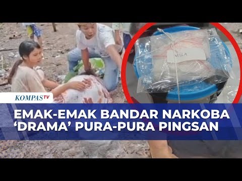 Detik-Detik Emak-Emak Bandar Narkoba Pura-Pura Pingsan & Kabur, Polisi Amankan Sabu 97,32 Gram