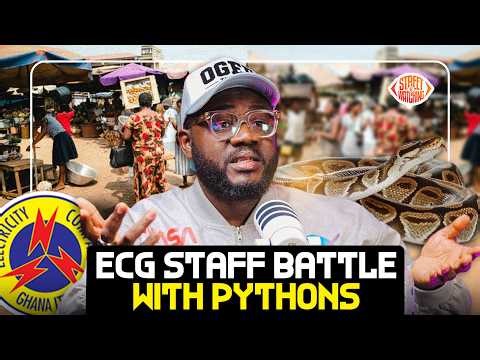 ECG Staff Battle Pythons to Restore Power in Kumasi’s Ahodwo 😳⚡🐍 | Wild Scenes!