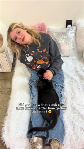 Black Cats Are Not Bad Luck — Why Black Cats Make the Best Pets