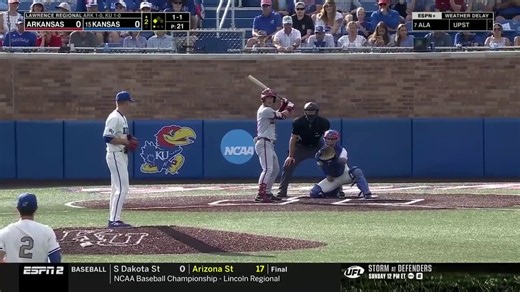 Hogs on the board!