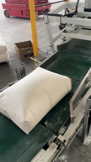 Full automated line for flour packaging, conveying and palletizing—high efficiency, stable operation for flour mills #AutomatedPackagingLine #FlourPalletizingEquipment #PackagingPalletizingSolution #IndustrialPackagingMachinery #FlourProcessingAutomation #FlourMillEquipment #AutomaticPalletizer #PackagingConveyingSystem #FoodProcessingMachinery #IndustrialAutomationEquipment #BulkMaterialPackaging #FlourPackagingMachine #AutomatedProductionLine #FoodIndustryEquipment #HeavyDutyPalletizing #Packa