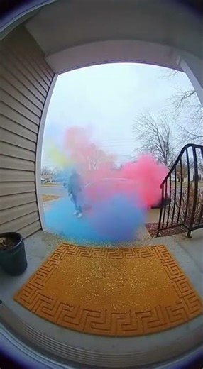 Package Thief Gets an EXPLOSIVE Surprise!