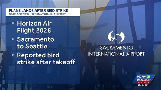 Horizon Air flight has bird strike after takeoff from Sacramento International Airport