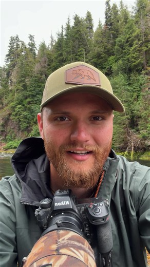 Alaska Brown Bear Photography Tips for Wildlife Shots
