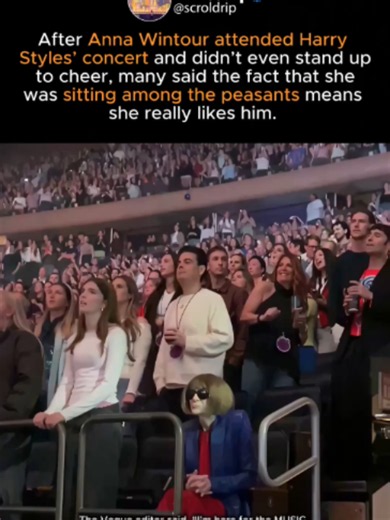 Anna Wintour Sat Among the Crowd at Harry Styles’ Concert #annawintour #harrystyles
