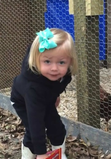 😩😩😩 look how cute!!! And yes she named the chickens “nuggets”. 🤦‍♀️💀😂😂 #addi #meme #chicken #thetaylors