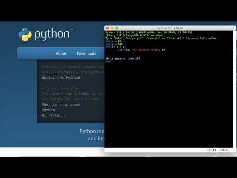Python Basics: Print Statements & Variables for Beginners