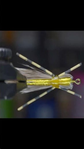 Madam X — Super Hero Name, fishes like one