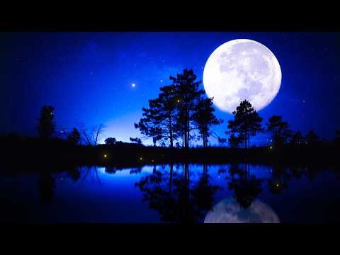 やさしいオルゴール ～Peaceful Music Box～【ゆったり睡眠用BGM】心が落ち着く、癒しの音楽