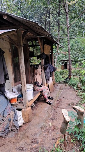Nothing Beats the Sound of Rain in a Quiet Village Sanctuary #asmr #cabinbliss