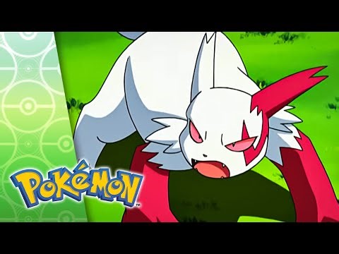 ZigZag Zangoose | POKÉMON FULL EPISODE 8 | Season 7