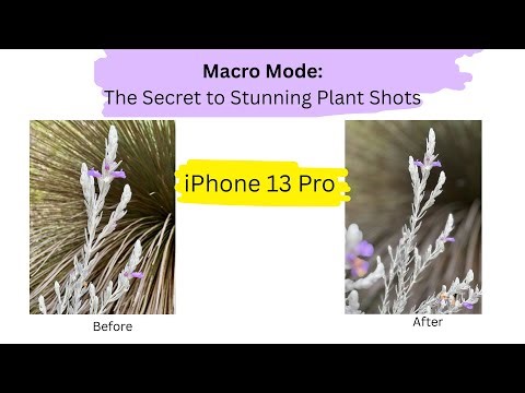 iPhone 13 Pro Macro Mode = Stunning Plant Shots