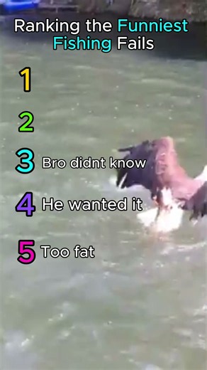 Ranking the funniest fishing fails #fishing #fails #funny