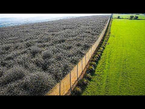 Γελούσαν με την Αυστραλία για τα χιλιάδες χιλιόμετρα φρακτών. Μετά από 10 χρόνια όλα έγιναν ξεκάθαρα