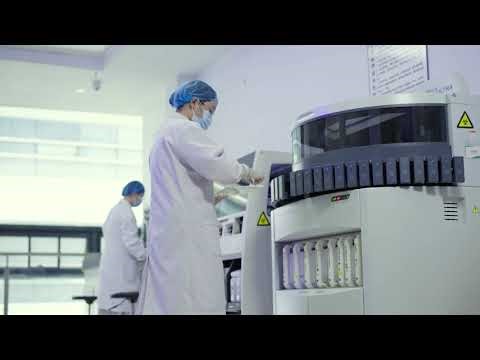 Stories of High-Quality Development | Understanding the unified national market through stories