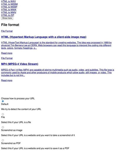 HTML to MP4 - online-convert.com.mp4