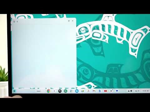 How to Enable Caps Lock on ACER Chromebook Spin 713