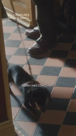Only in Darrowby could a loaf of bread bring out the constable 👮Siegfried is determined to stand up for Mrs Hall. Perhaps he should have waited to hear the whole story 👀If you missed it, catch up now on 5. https://t.co/BAi4XehArk