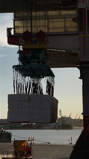 Cargo loading onboard ship | Real merchant navy life | 2026