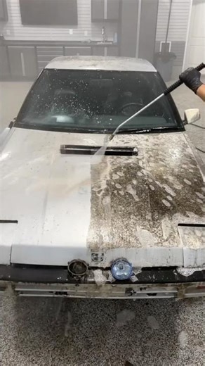 Pressure Washing an INCREDIBLY DIRTY Hood!