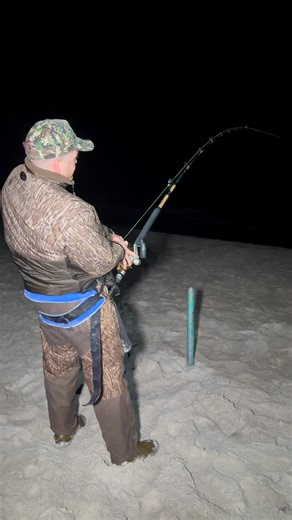 Giant Shark On ‼️ ##thefishermeng##fishing##sharkfishung##Lbsf##shark | shark fishing