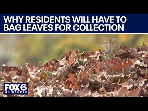 Milwaukee leaf collection change aimed at reducing floods | FOX6 News Milwaukee