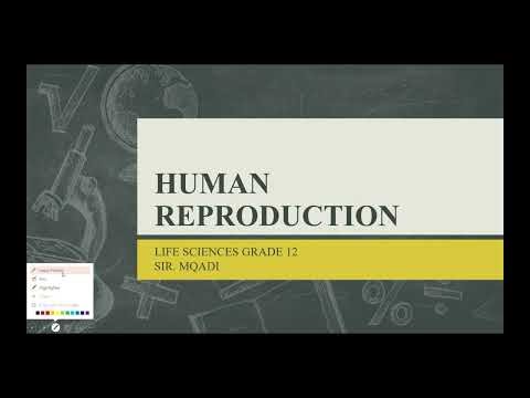 Life Sciences Grade 12: Human Reproduction