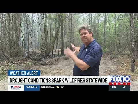 Drought conditions spark wildfires statewide