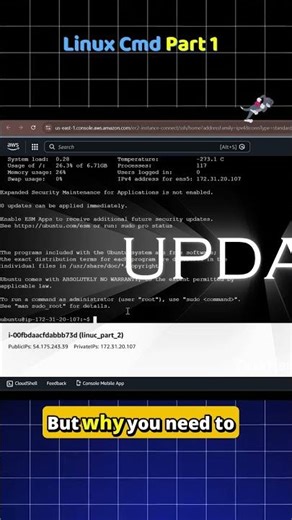 Master Linux Basics (Beginner Guide) #aws #devops #bucketflow
