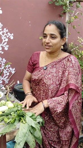 రకరకాల Harvestతో Table నిండింది || TELUGU GARDEN VLOG