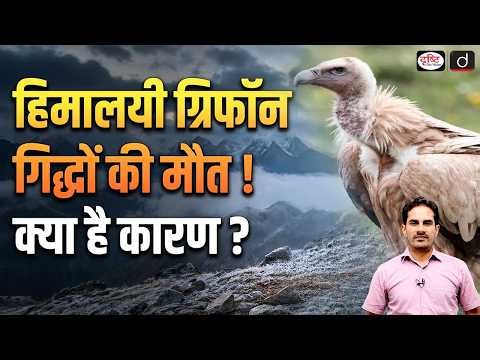 25 Himalayan Griffon Vultures Found Dead | What Caused Their Death? | Current Affairs | Drishti IAS