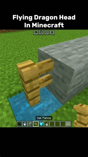 Minecraft But The Dragon Head Can Fly 💀🐲