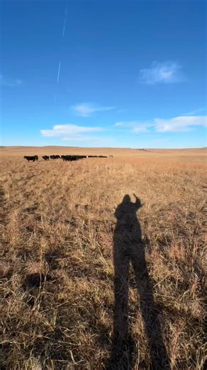 Basically no way to adequately sum up 2025, but here’s a start. ❤️ | The Pioneer Woman - Ree Drummond