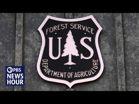 U.S. Forest Service cuts raise concerns on protecting public lands and fighting wildfires