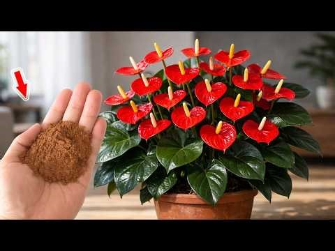 Just Sprinkle One Spoonful! Suddenly Hundreds Of Flowers Explode!