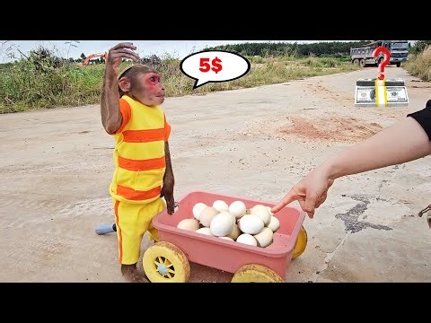SU smartly sells EGGS in an unbelievable way 😯