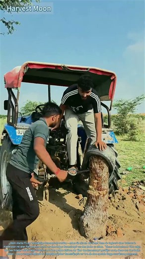 Baumstumpf entfernen! Traktor-gestützte Reifen-Zugtechnik