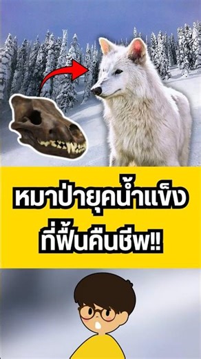 A shocking resurrection! An extinct animal, 12,000 years old, is being brought back to life and i...