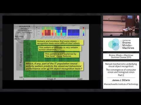 Brains, Minds and Machines Summer Course - MIT - Lec 1 - 4