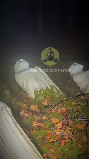 Exploring Alien Discoveries and UFO Encounters