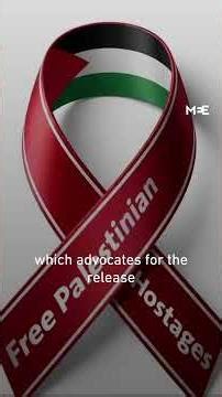 Protesters worldwide mark Palestinian Prisoners' Day and call for repeal of execution law