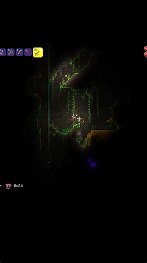 Terraria Found Some Honey