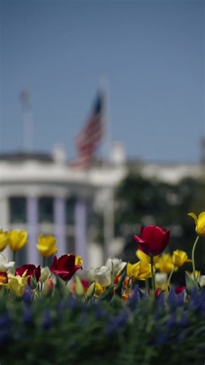 He is risen! Happy Easter ✝️ | jesus has risen