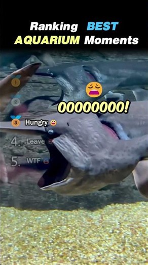Ranking BEST AQUARIUM Core Moments!! 🐠😂