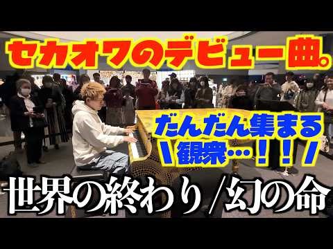 [ストリートピアノ]セカオワのデビュー曲｡夜の都庁で｢幻の命｣しっとりと弾いてみた[SEKAI NO OWARI]