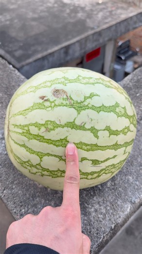 Experiment: Will a watermelon explode if it rolls off a tall building? 🍉💥#shorts