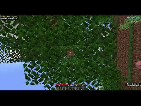 Trying to speedrun Minecraft | New to Minecraft Speedrun