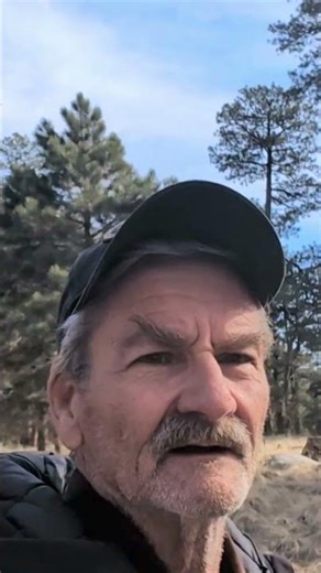 Winter Walk in the Woods