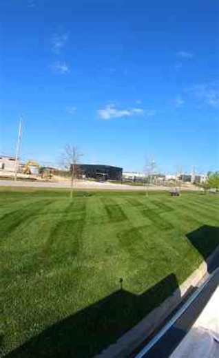 Easy lawn care tips for a greener healthier yard